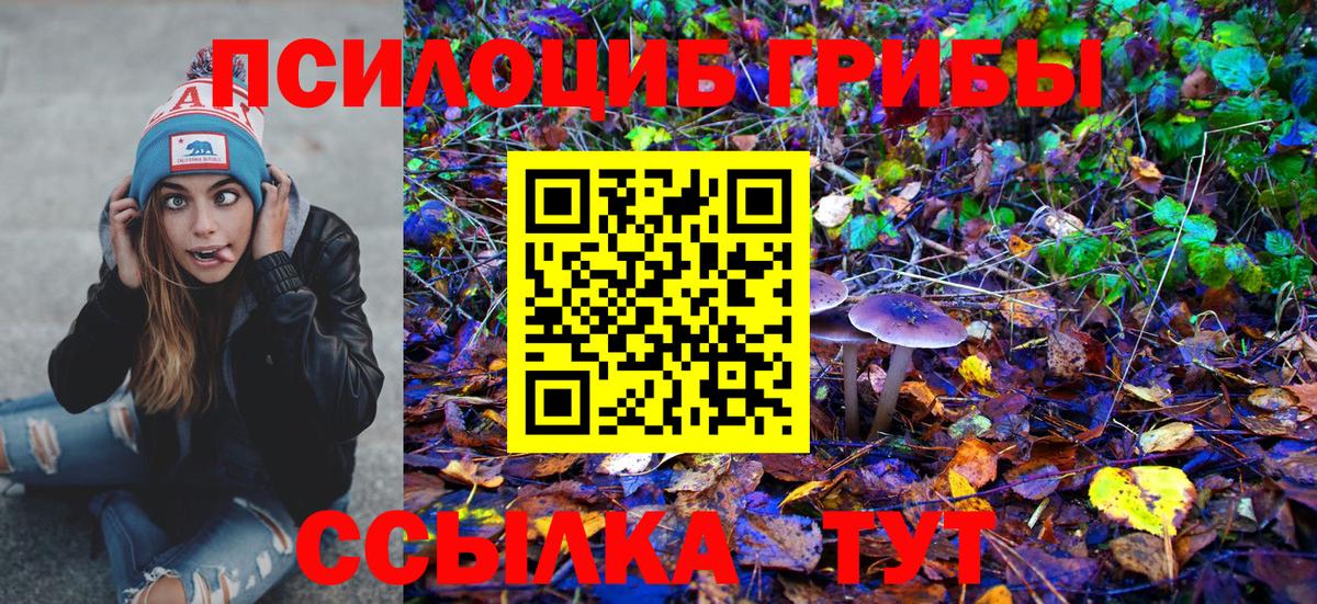 Галлюциногенные грибы мухоморы Заинск
