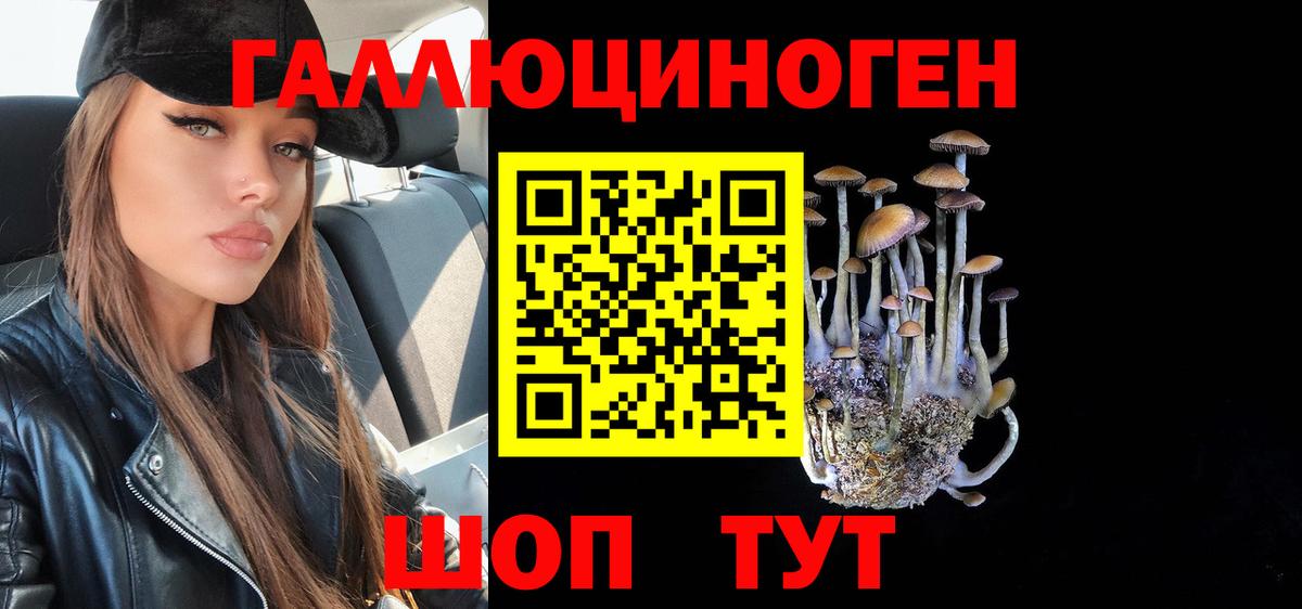Заинск  Галлюциногенные грибы MAGIC MUSHROOMS  Вход с VPN  Галлюциногенные грибы Cubensis 